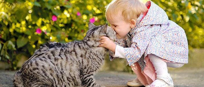 Os 5 melhores animais de estimação para crianças