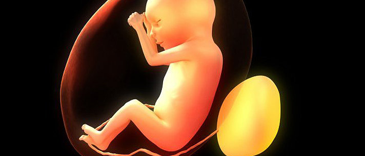 Bebês no útero podem sentir cheiros e gostos?
