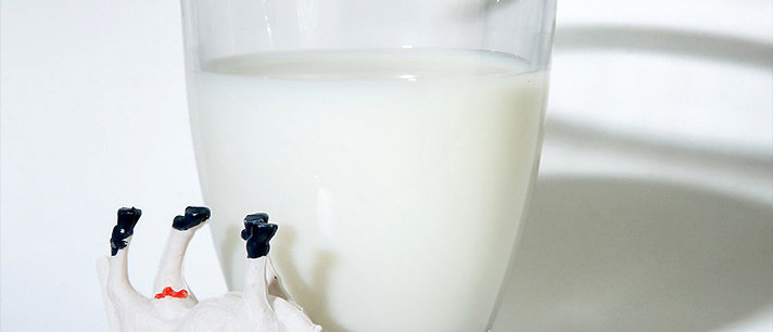 Sintomas de intolerância à lactose