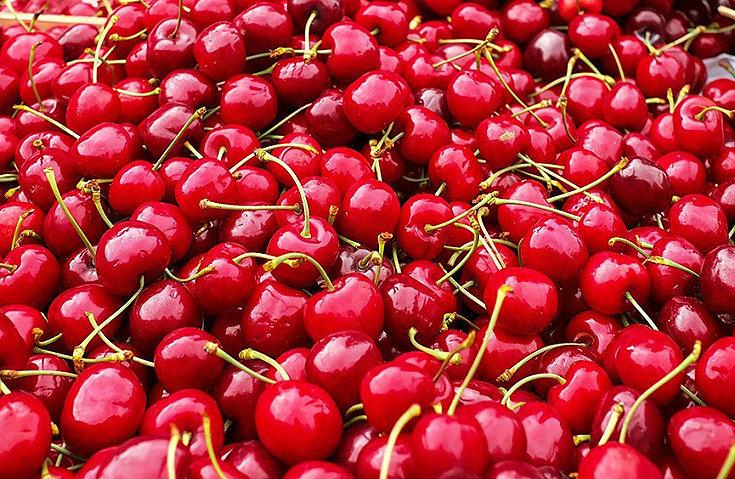 Frutas vermelhas e seus grandes benefícios