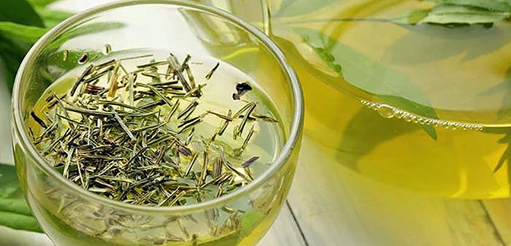 Benefícios do chá verde para emagrecer